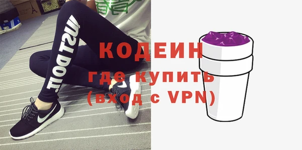 прущие грибы Бородино