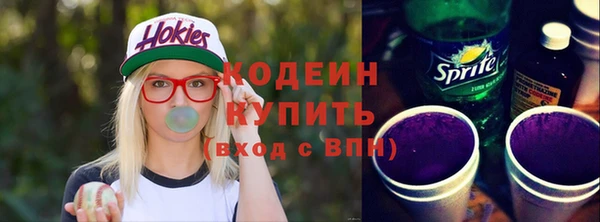 spice Каменка