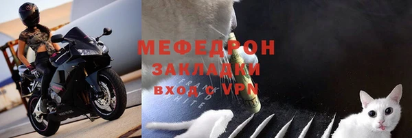 прущие грибы Бородино