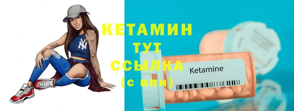 прущие грибы Бородино