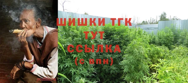 прущие грибы Бородино