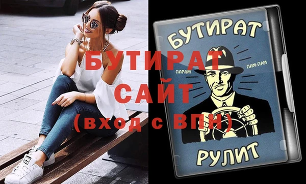 индика Вяземский