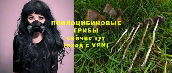 ALPHA PVP Каменногорск