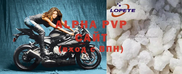 прущие грибы Бородино