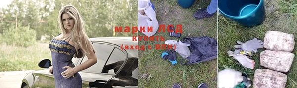 прущие грибы Бородино