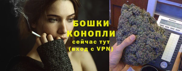 прущие грибы Бородино