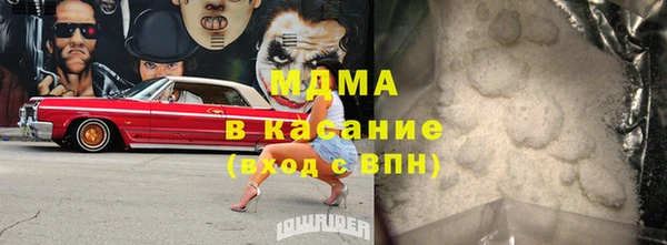 индика Вяземский