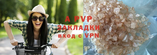 прущие грибы Бородино