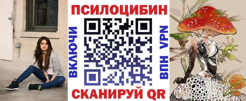 Галлюциногенные грибы Psilocybine cubensis  Буйнакск 