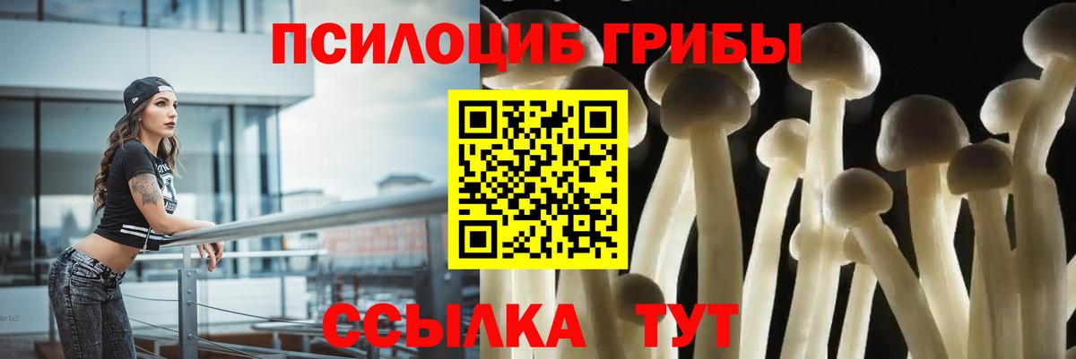 Псилоцибиновые грибы мухоморы Буйнакск