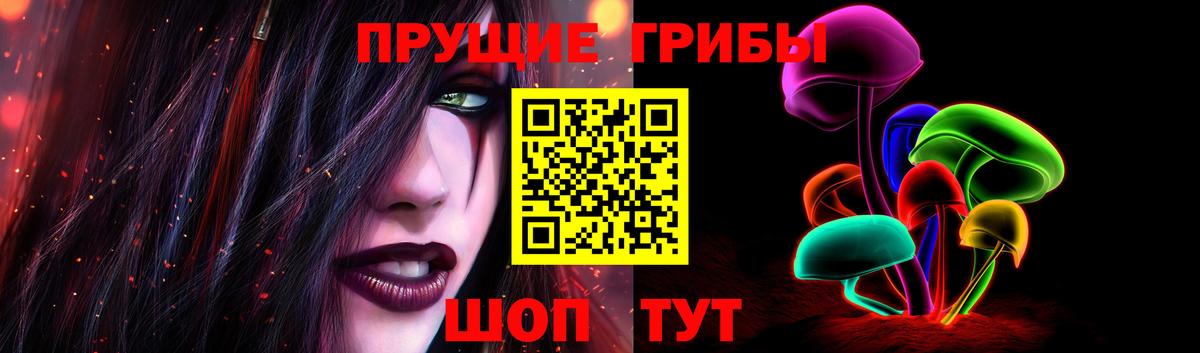 что такое наркотик  Буйнакск  Псилоцибиновые грибы прущие грибы 